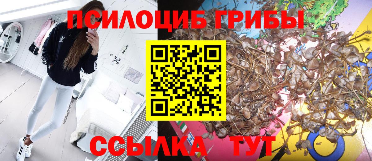 Галлюциногенные грибы мицелий Альметьевск