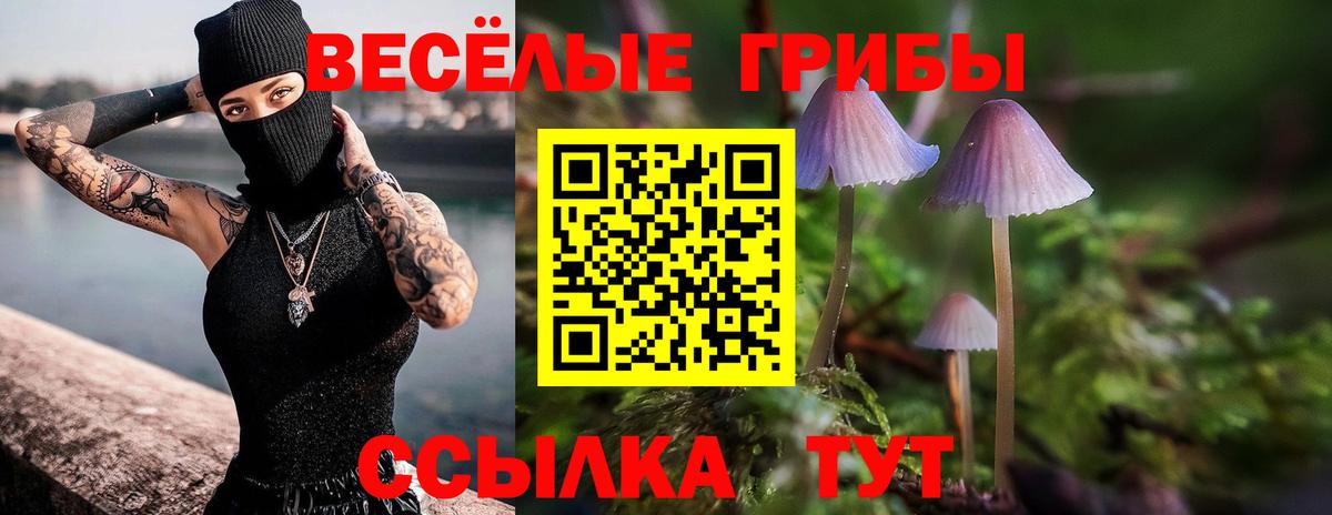 Галлюциногенные грибы мицелий  Вход с VPN  Альметьевск 